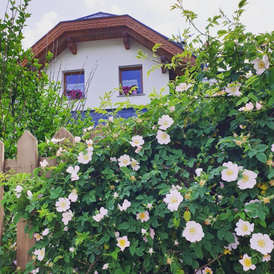 Bed and Breakfast Al Sentiero Di Charly Tarvisio Exterior foto