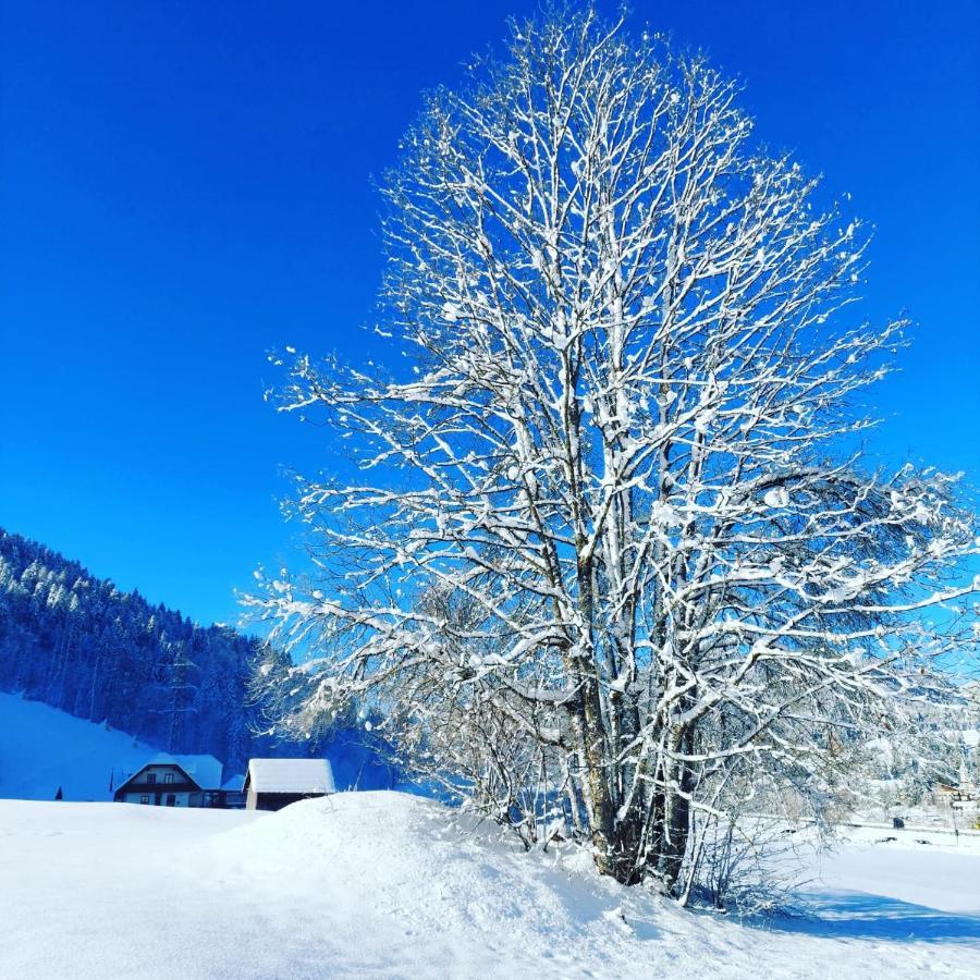 Bed and Breakfast Al Sentiero Di Charly Tarvisio Exterior foto