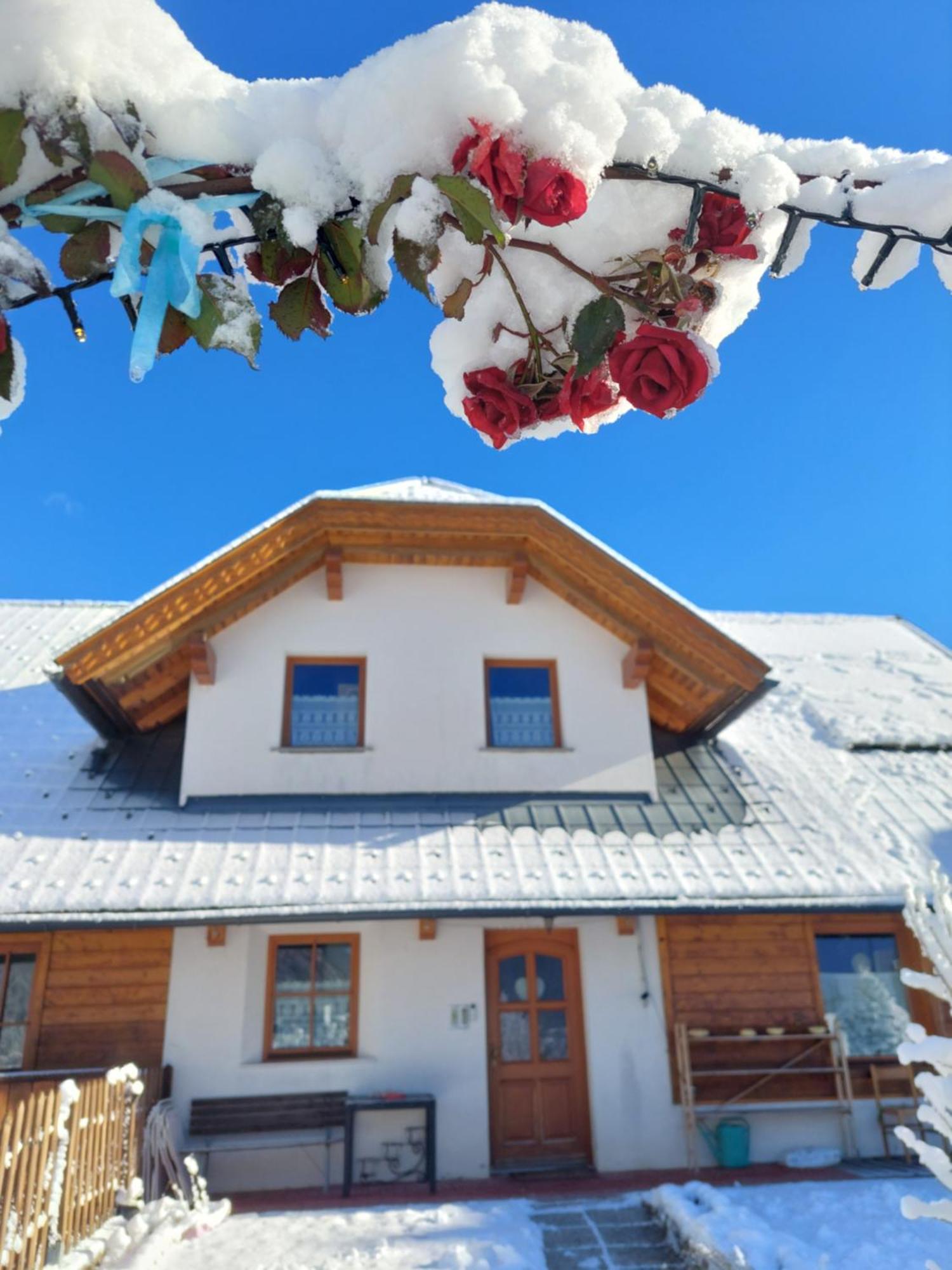 Bed and Breakfast Al Sentiero Di Charly Tarvisio Exterior foto